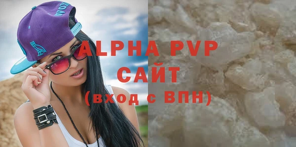 хмурый Абаза
