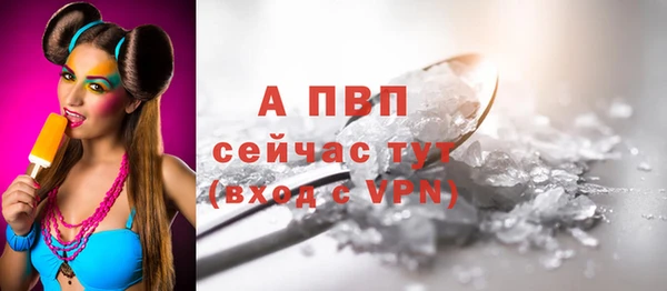 хмурый Абаза