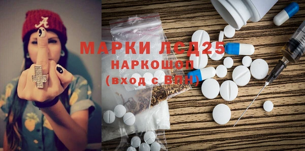хмурый Абаза