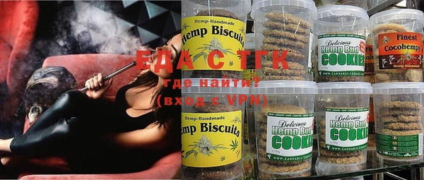 хмурый Абаза