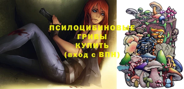 крисы Абинск