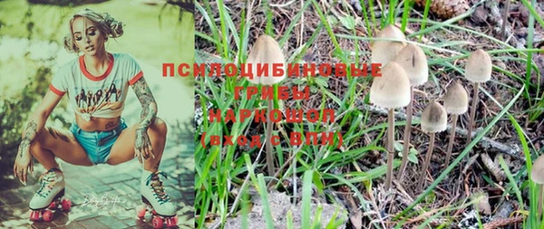 хмурый Абаза