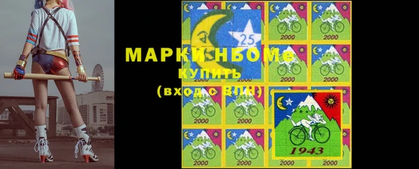хмурый Абаза
