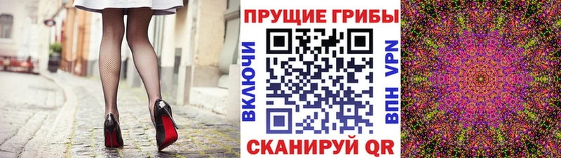где можно купить наркотик Барыш Псилоцибиновые грибы GOLDEN TEACHER